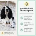 Bild in Galerie-Betrachter laden, Zpray für Hunde & Menschen – natürlicher Schutz vor Zecken, Flöhen & Mücken
