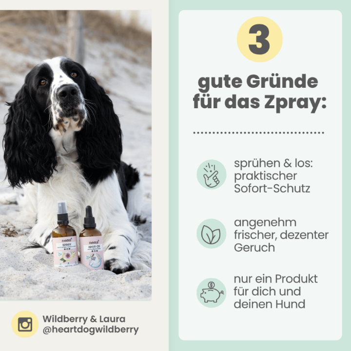 Zpray für Hunde & Menschen – natürlicher Schutz vor Zecken, Flöhen & Mücken