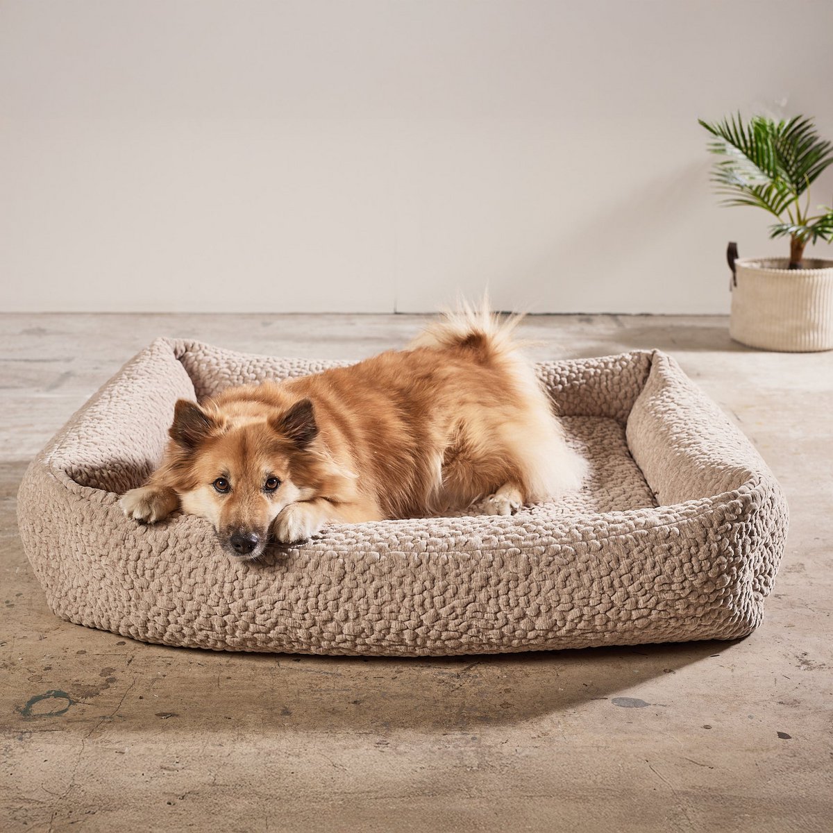 ORTHO Hundebett - BELLAGIO in Größe L