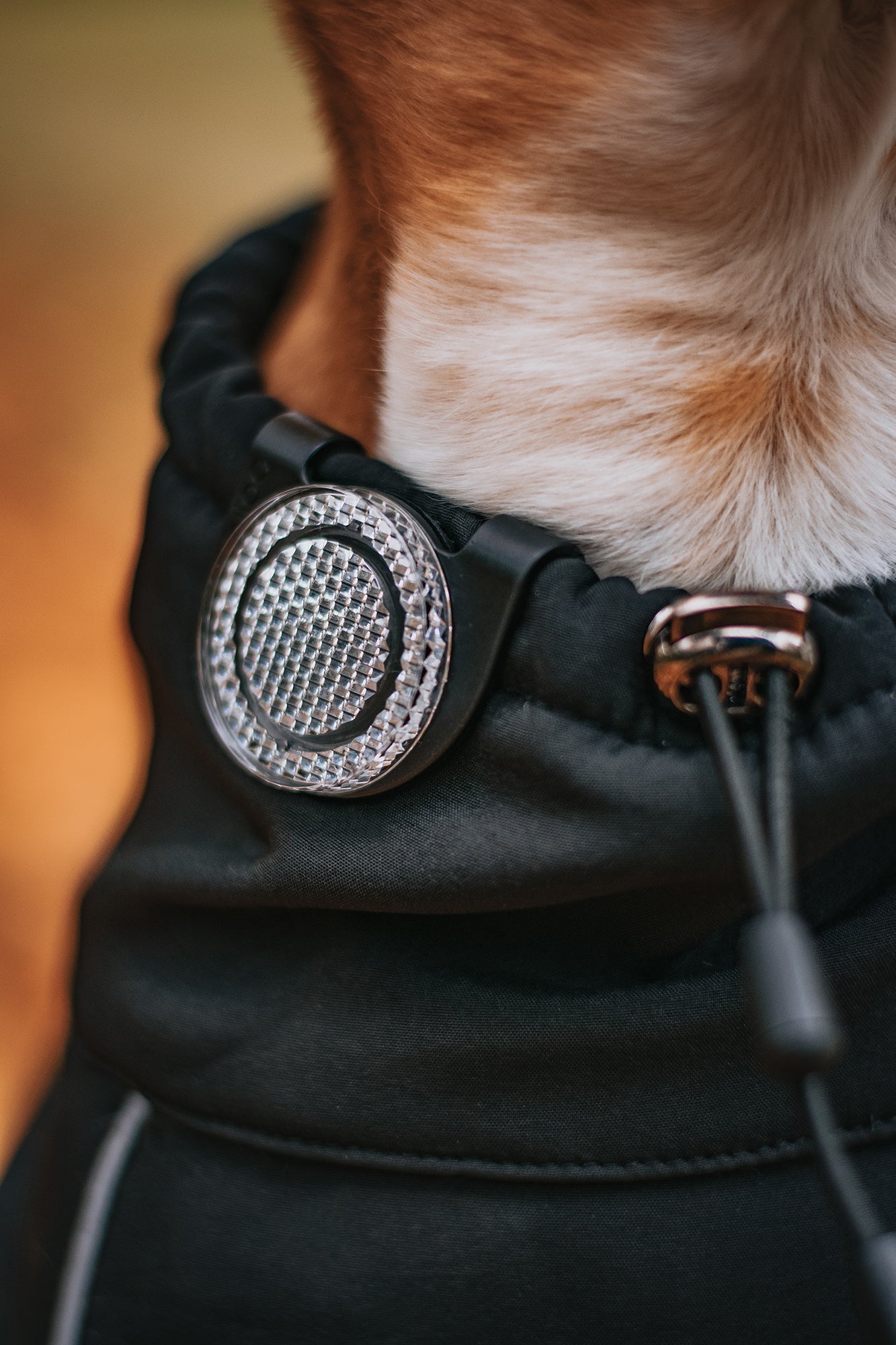 Orbiloc Reflective Clip