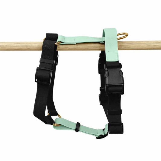 Führgeschirr - Outdoor FLEX - 5-fach verstellbar mit Haltegriff - Schwarz/Mint