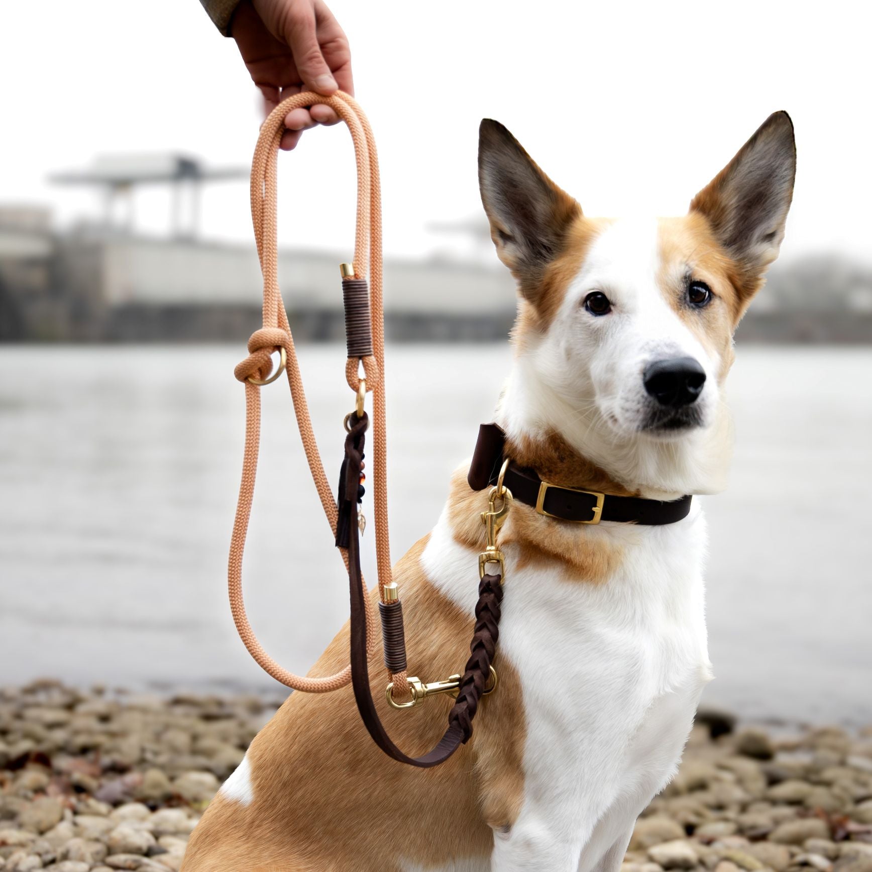 Pawnchor - COPPER GLOW - Limited Edition