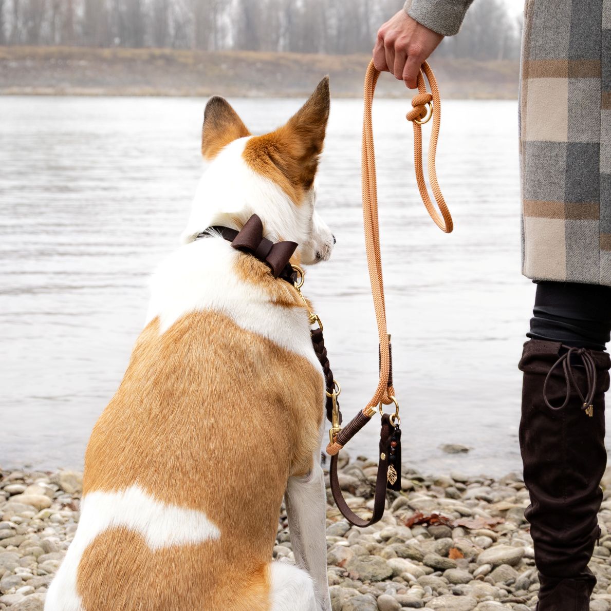 Pawnchor - COPPER GLOW - Limited Edition