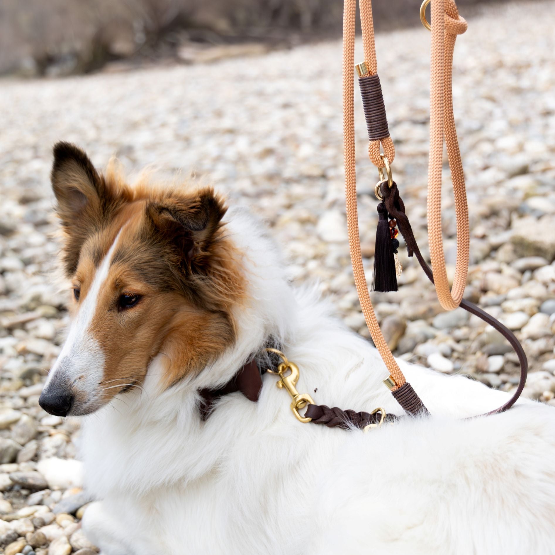 Pawnchor - COPPER GLOW - Limited Edition