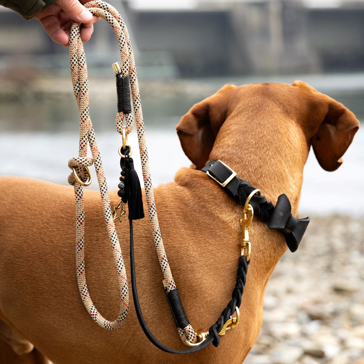 Pawnchor - PURE ELEGANCE - Limited Edition