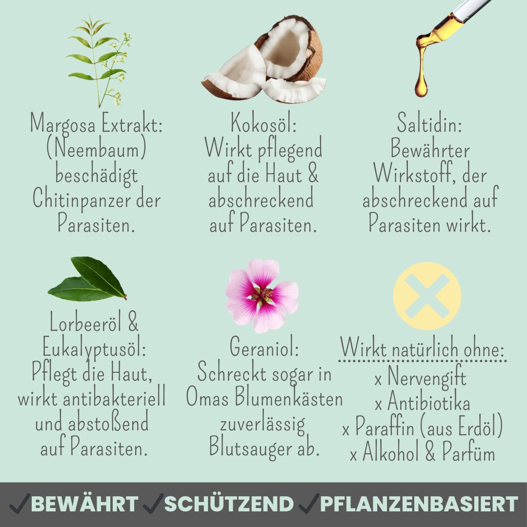 Zpray für Hunde & Menschen – natürlicher Schutz vor Zecken, Flöhen & Mücken
