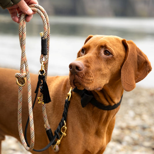 Pawnchor - PURE ELEGANCE - Limited Edition