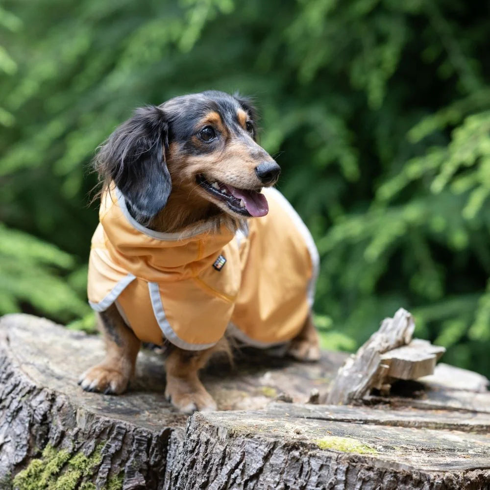 Rukka Crisp UV Cooling Jacket – UV-Schutz- & Kühljacke für Hunde