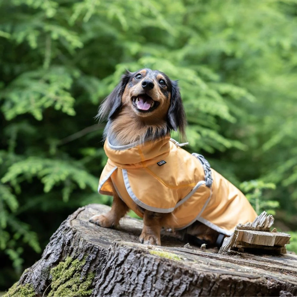 Rukka Crisp UV Cooling Jacket – UV-Schutz- & Kühljacke für Hunde