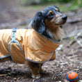 Bild in Galerie-Betrachter laden, Rukka Crisp UV Cooling Jacket – UV-Schutz- & Kühljacke für Hunde
