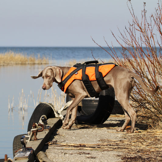 Pets Safety Life Vest - Rukka Rettungsweste
