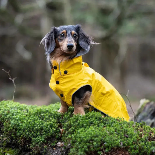 Rukka - Stream Raincoat - Regenmantel