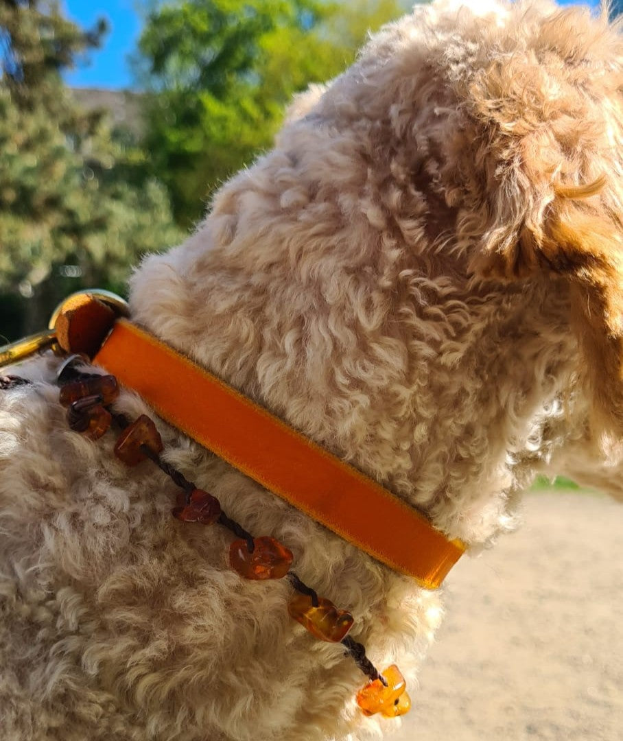 Romero Bernsteinkette für Hunde