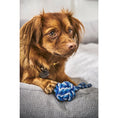 Bild in Galerie-Betrachter laden, Schleuderball_blau/hellblau_Laboni mit Mischling Hund auf grauem Sofa von Laboni
