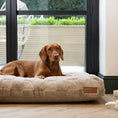 Bild in Galerie-Betrachter laden, Oxford Orthopädisches Hundekissen
