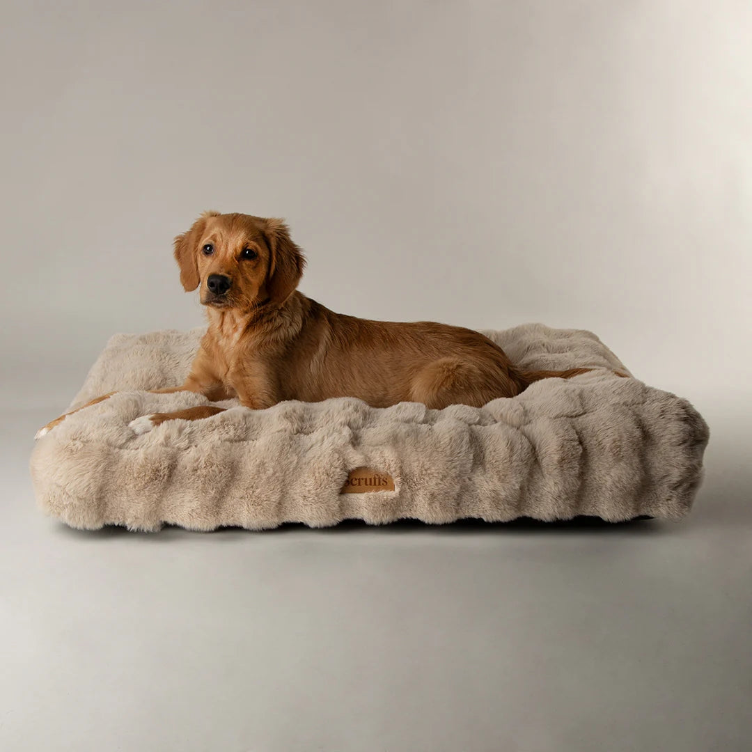 Alpine Hundematratze – ecopetique