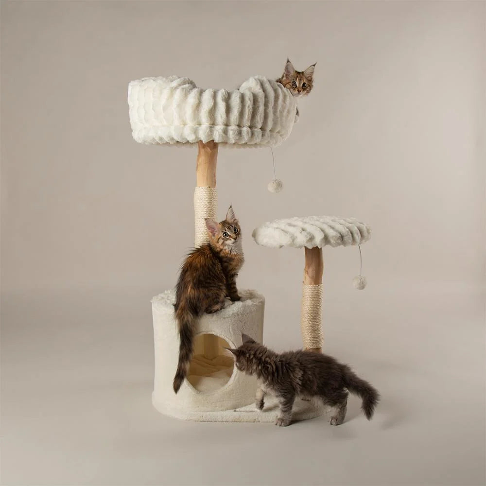 Scruffs® Colorado Katzenkratzbaum – mit Höhle, Birnbaumholz & Sisal