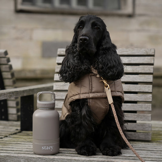 Staey Noona 2-in-1 Flasche mit Schüssel | Edelstahl