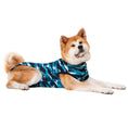 Bild in Galerie-Betrachter laden, RECOVERY SUIT® HUND
