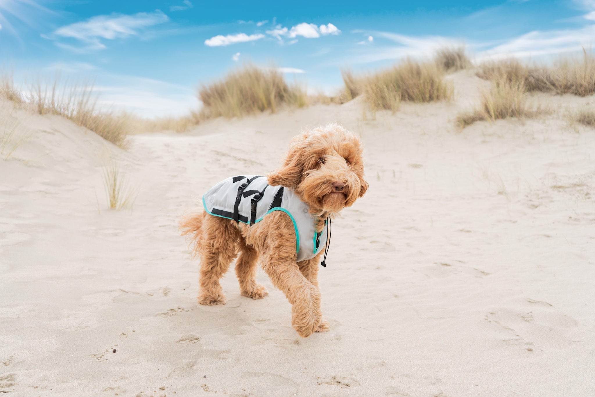 DRY® COOLING VEST HUND