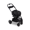 Bild in Galerie-Betrachter laden, Tavo Pets Dupree Adapter für den Roscoe Haustierbuggy
