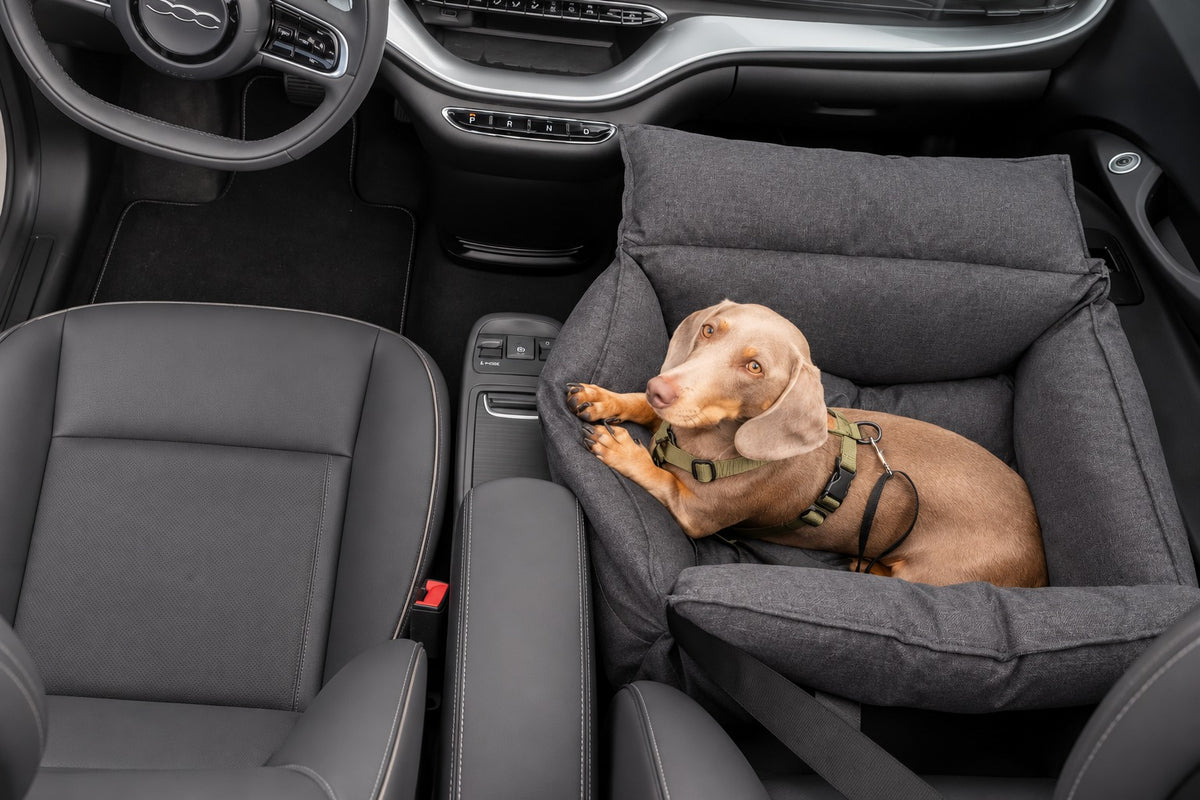 TRIMMI Hundeautositz Anthrazit – Design-Autositz für Hunde bis 15kg