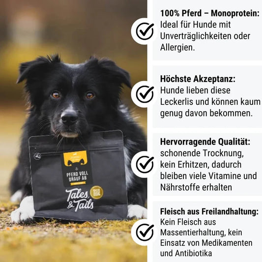 Pferd voll drauf ab - Trainingsleckerli 100% Pferd