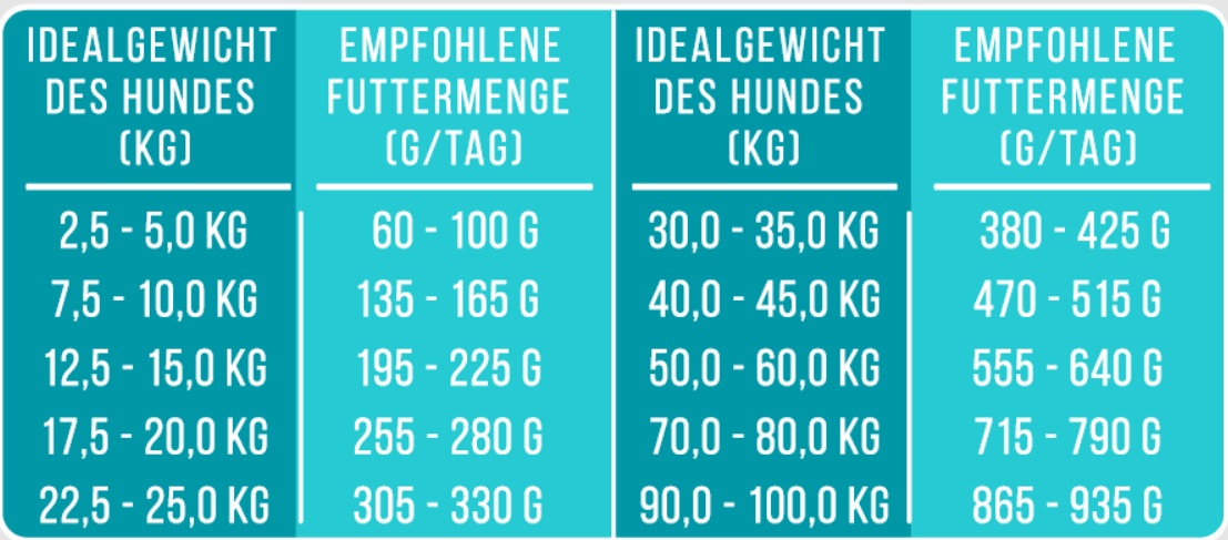 Noch ganz Fisch im Kopp? - 4kg