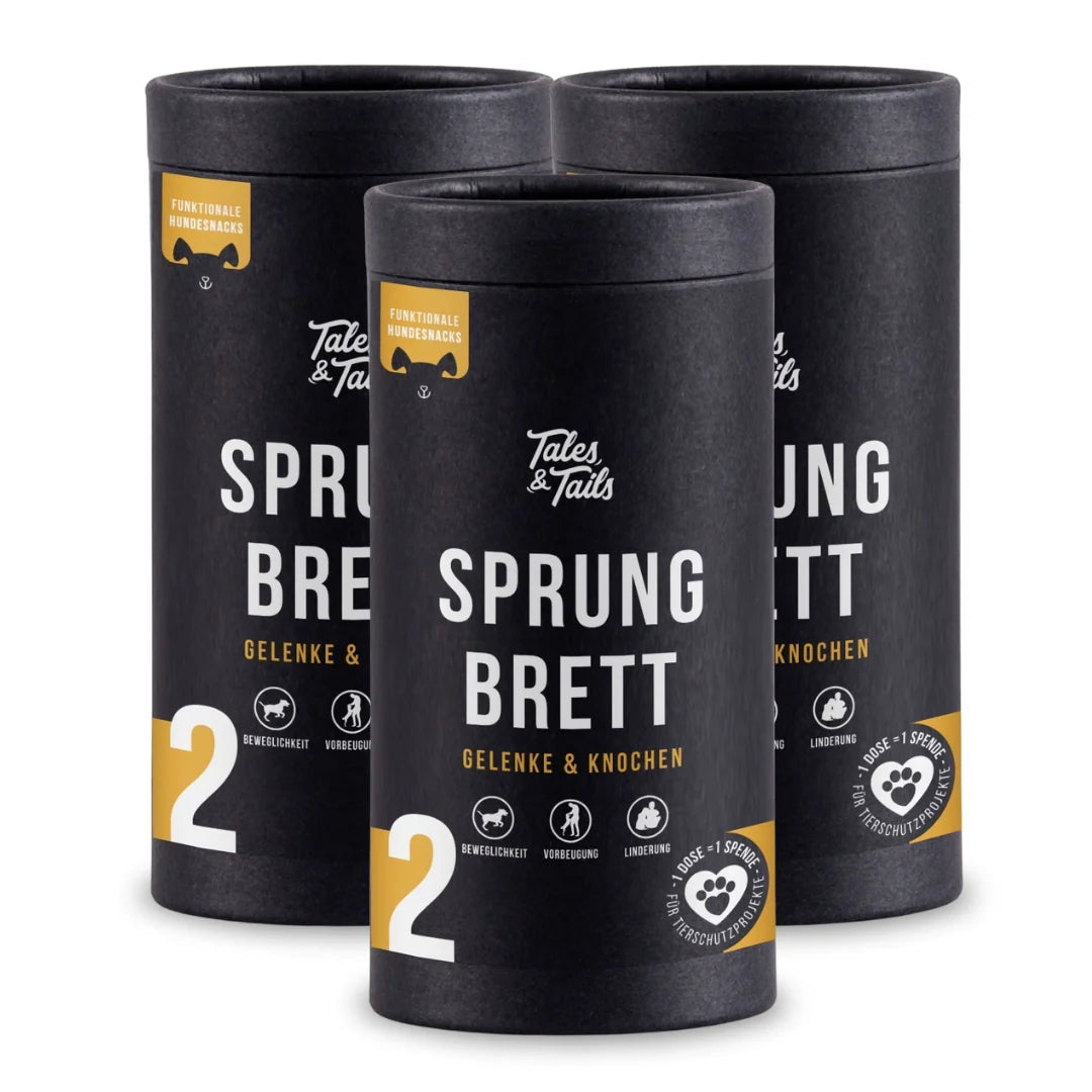 Sprungbrett