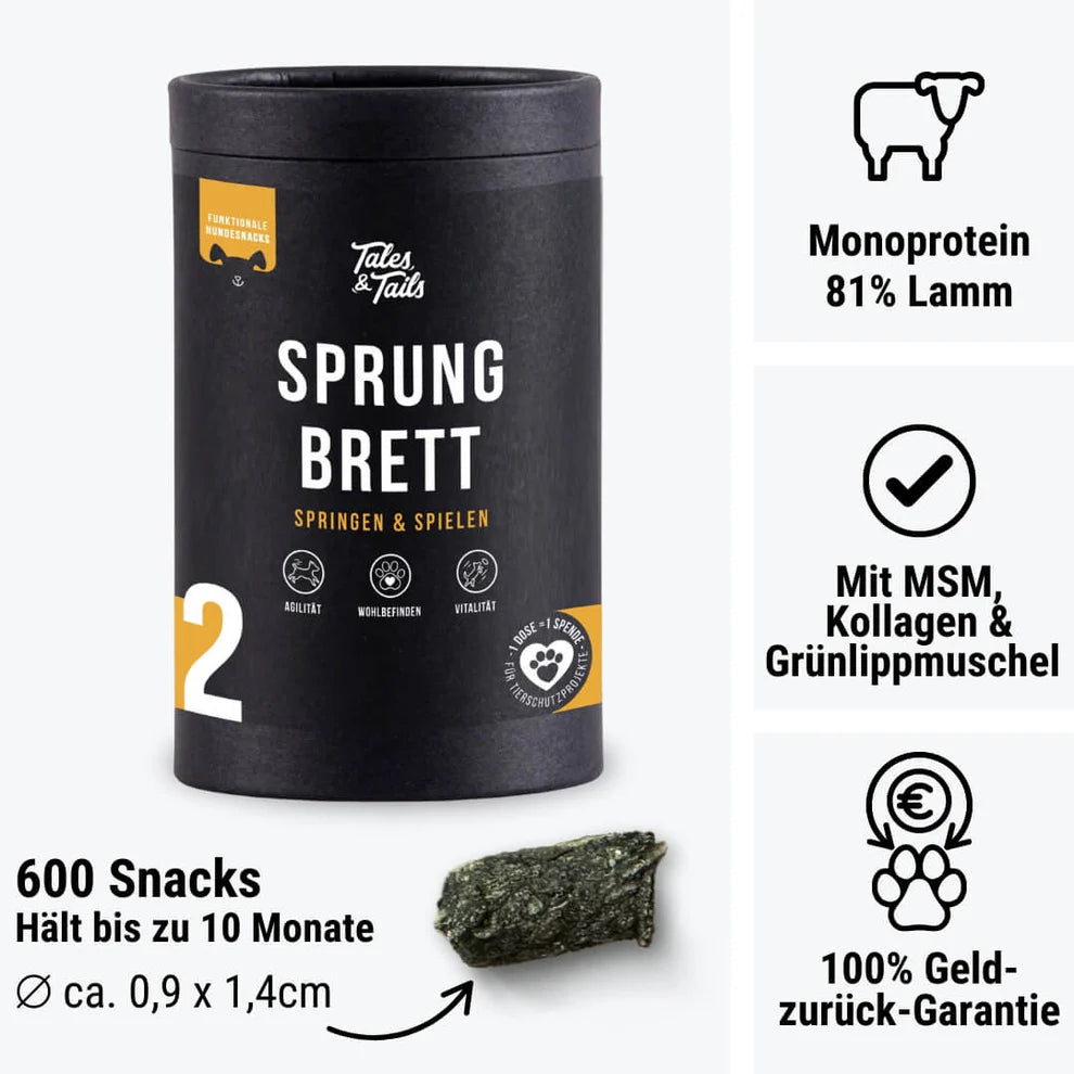 Sprungbrett