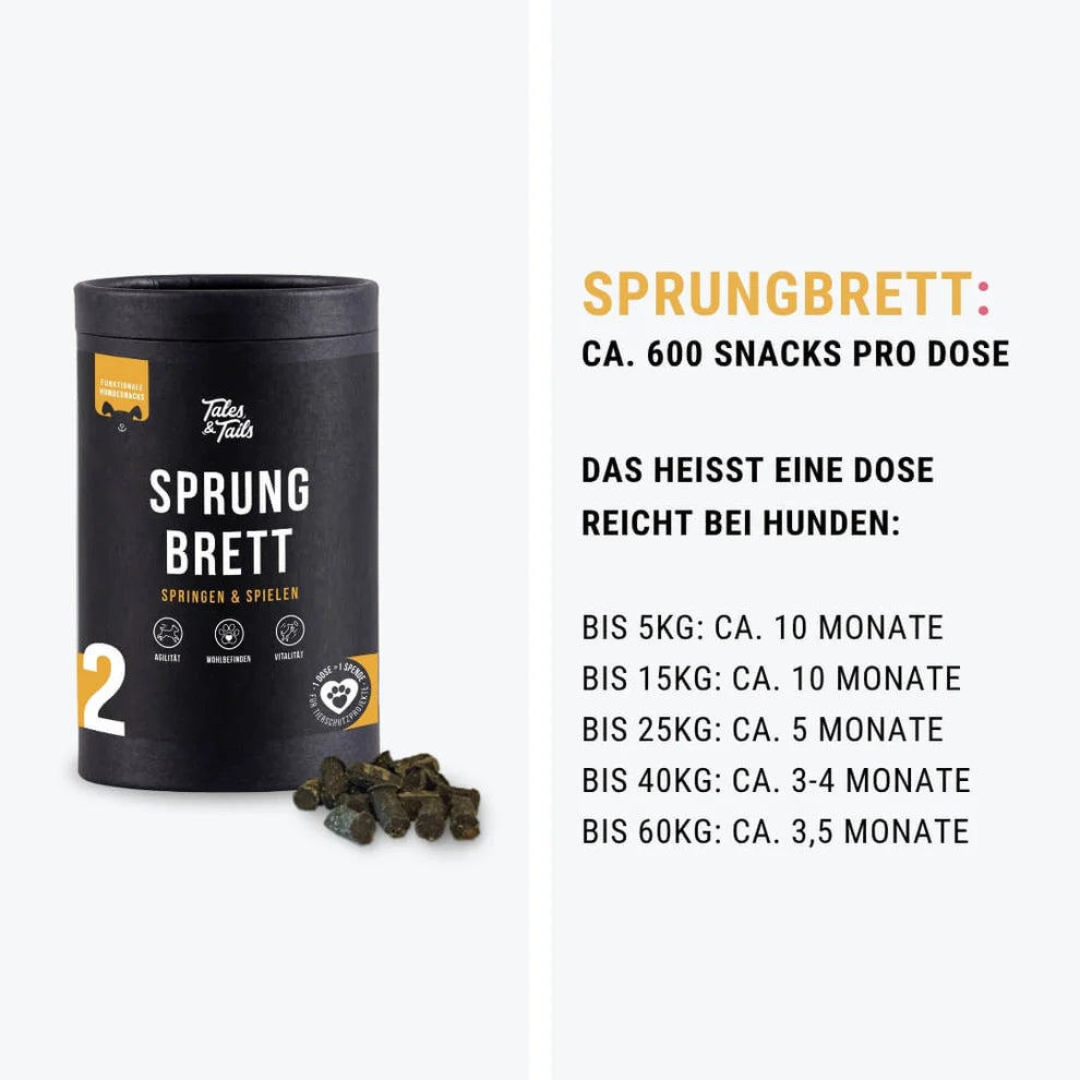 Sprungbrett