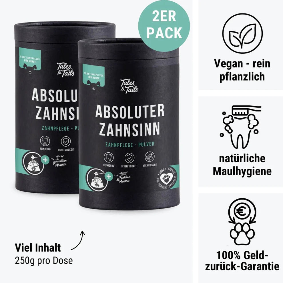 In Zähne setzen - Zahnpflege-Snack für Hunde