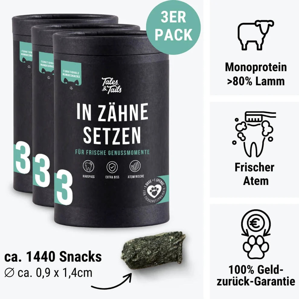 Tales & Tails In Zähne setzen - Zahnpflege-Snack für Hunde