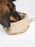 Bild in Galerie-Betrachter laden, Tragbarer Hundenapf | Pocket Bowl™
