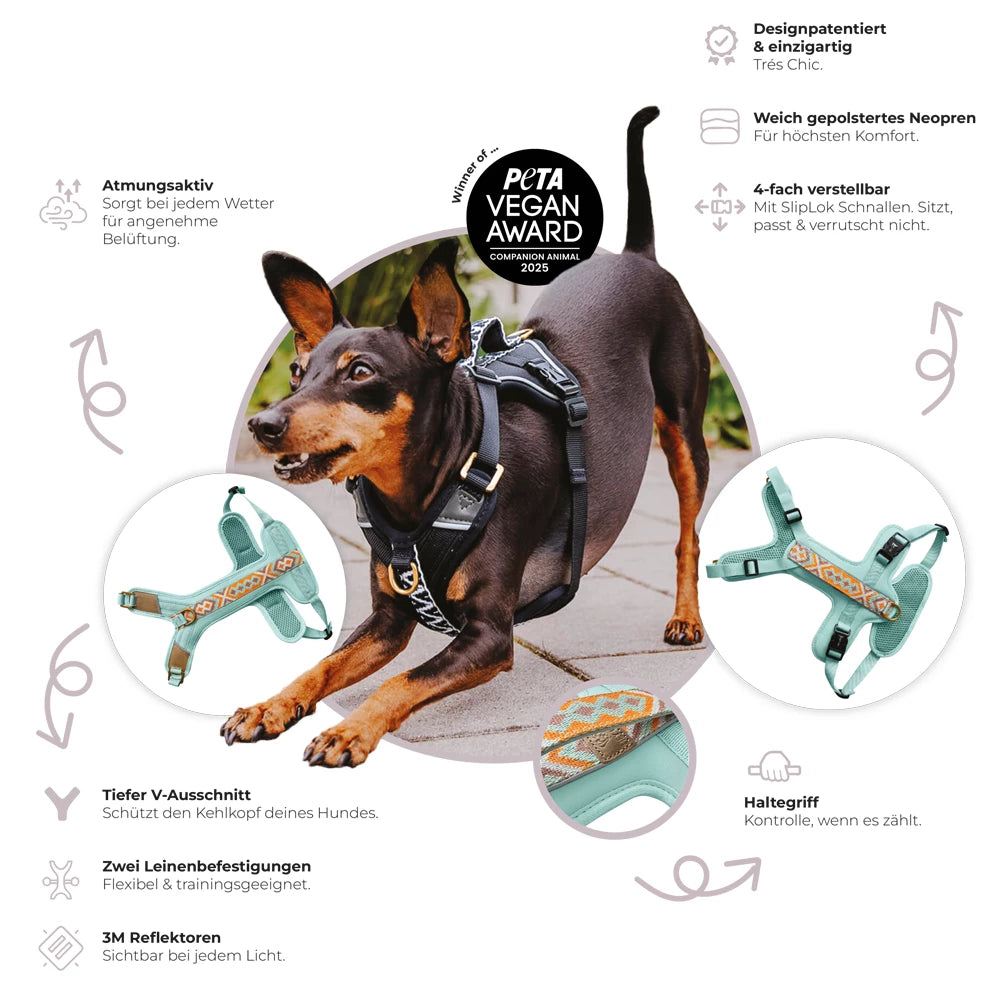 Hey Lana Très Chic Hundegeschirr – gepolstert, Sunset/Eukalyptus