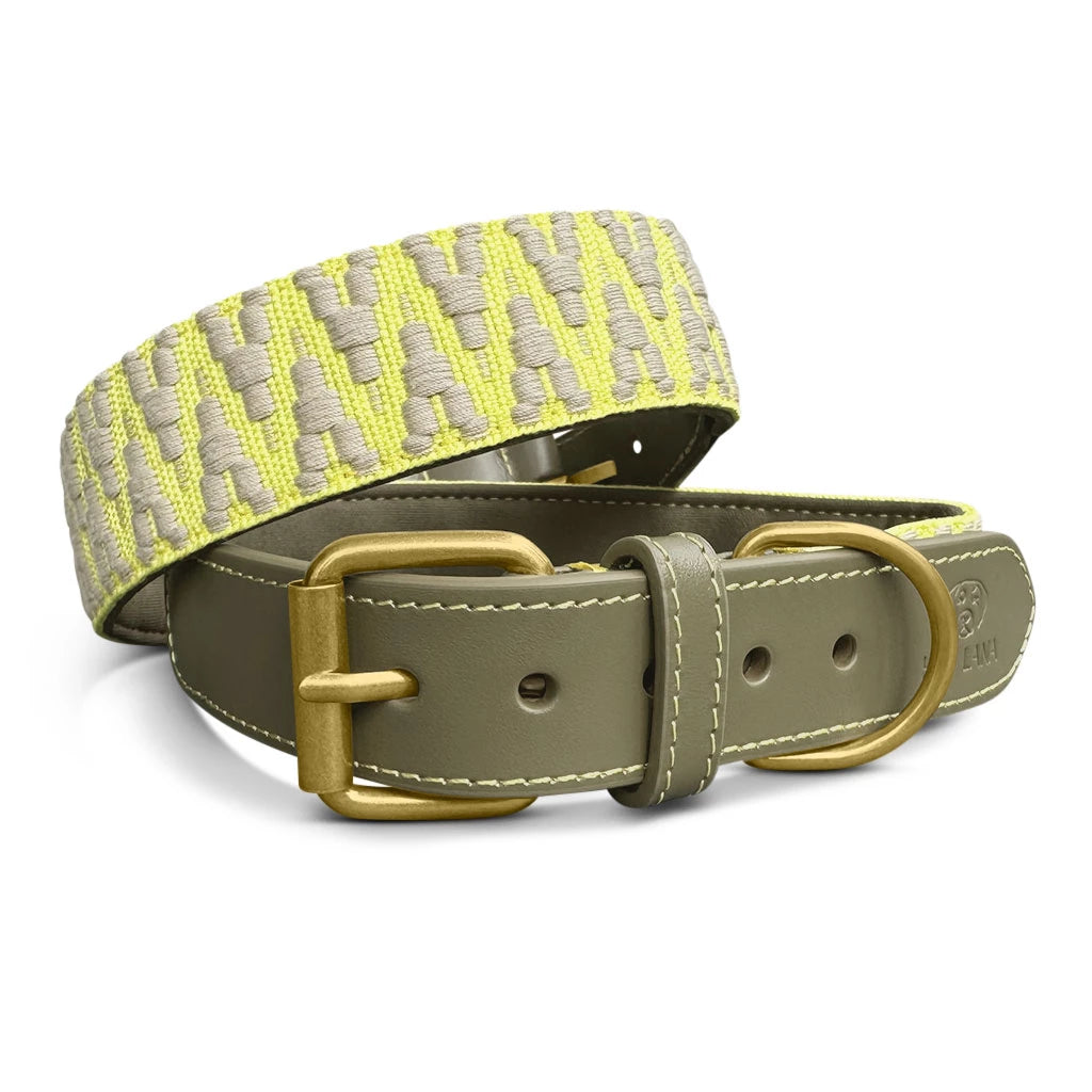 Kollektion Très chic – Set Hundehalsband, Leine und Geschirr – Olivgruen/Neongelb