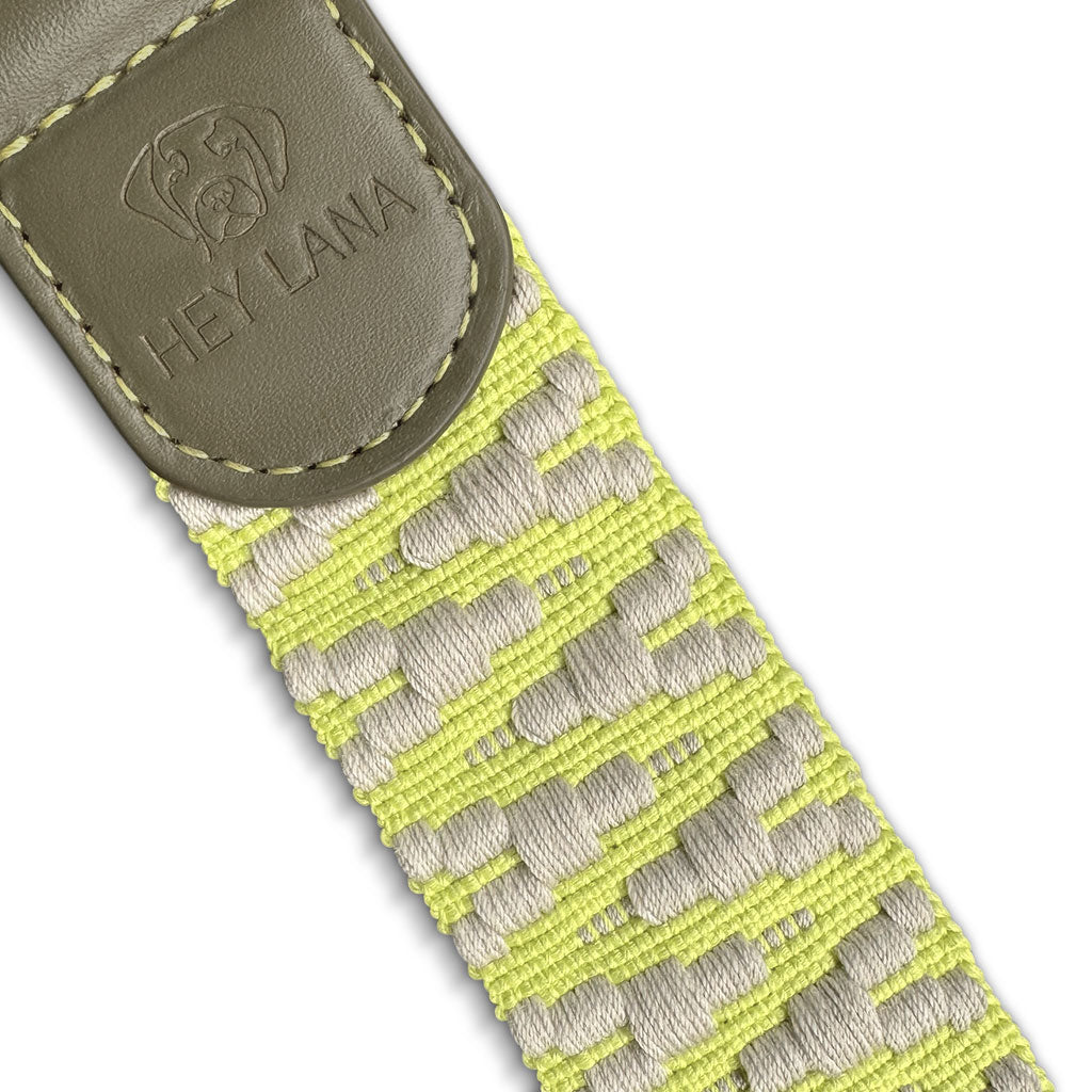 Kollektion Très chic – Set Hundehalsband, Leine und Geschirr – Olivgruen/Neongelb