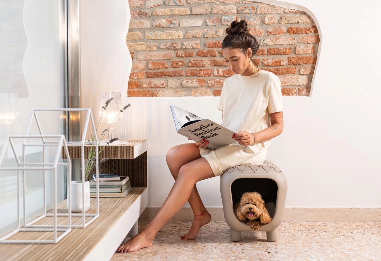 Designerbank und Katzenhütte & Hundehütte mit zweifarbigem Innenkissen - Taupe