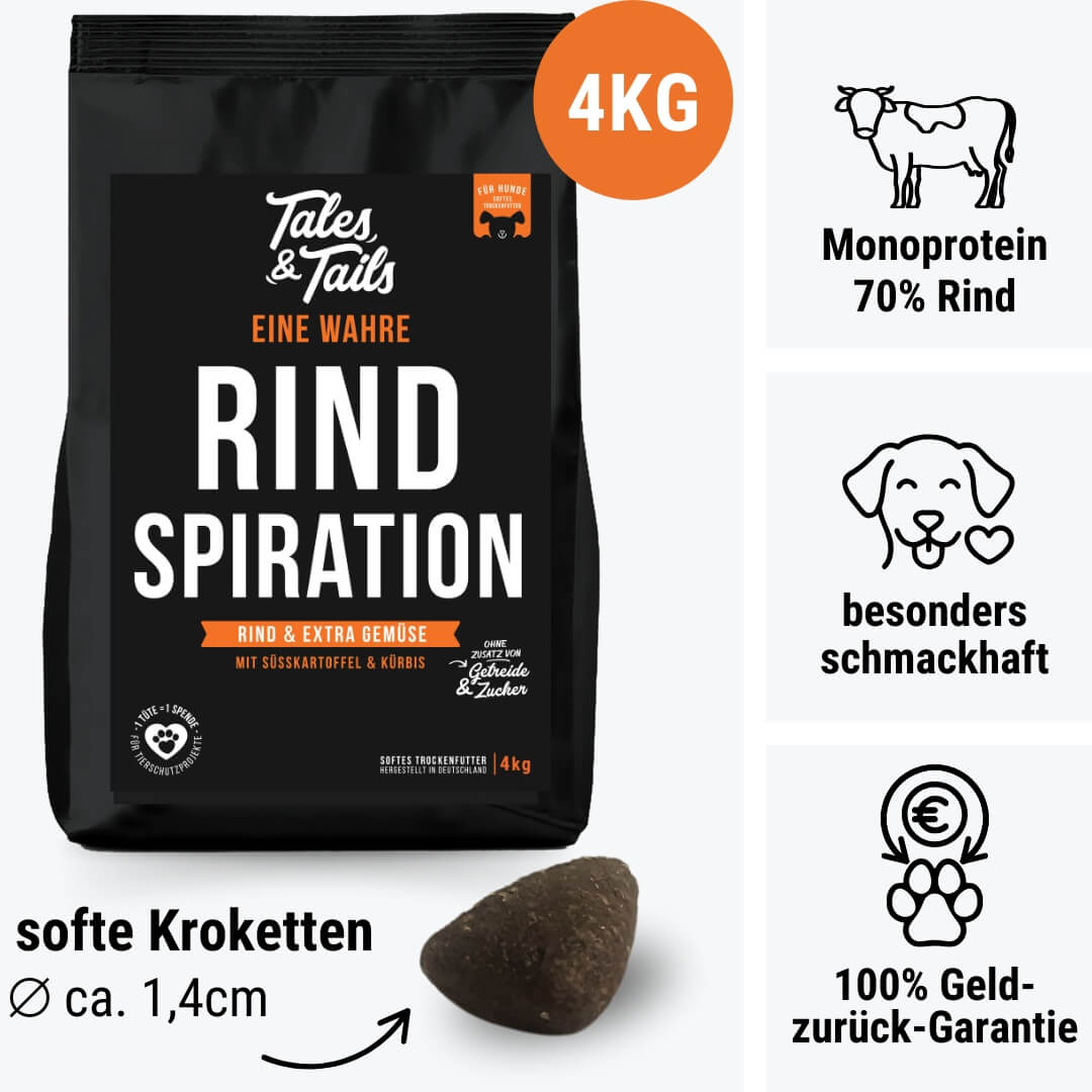 Trockenfutter für Hunde