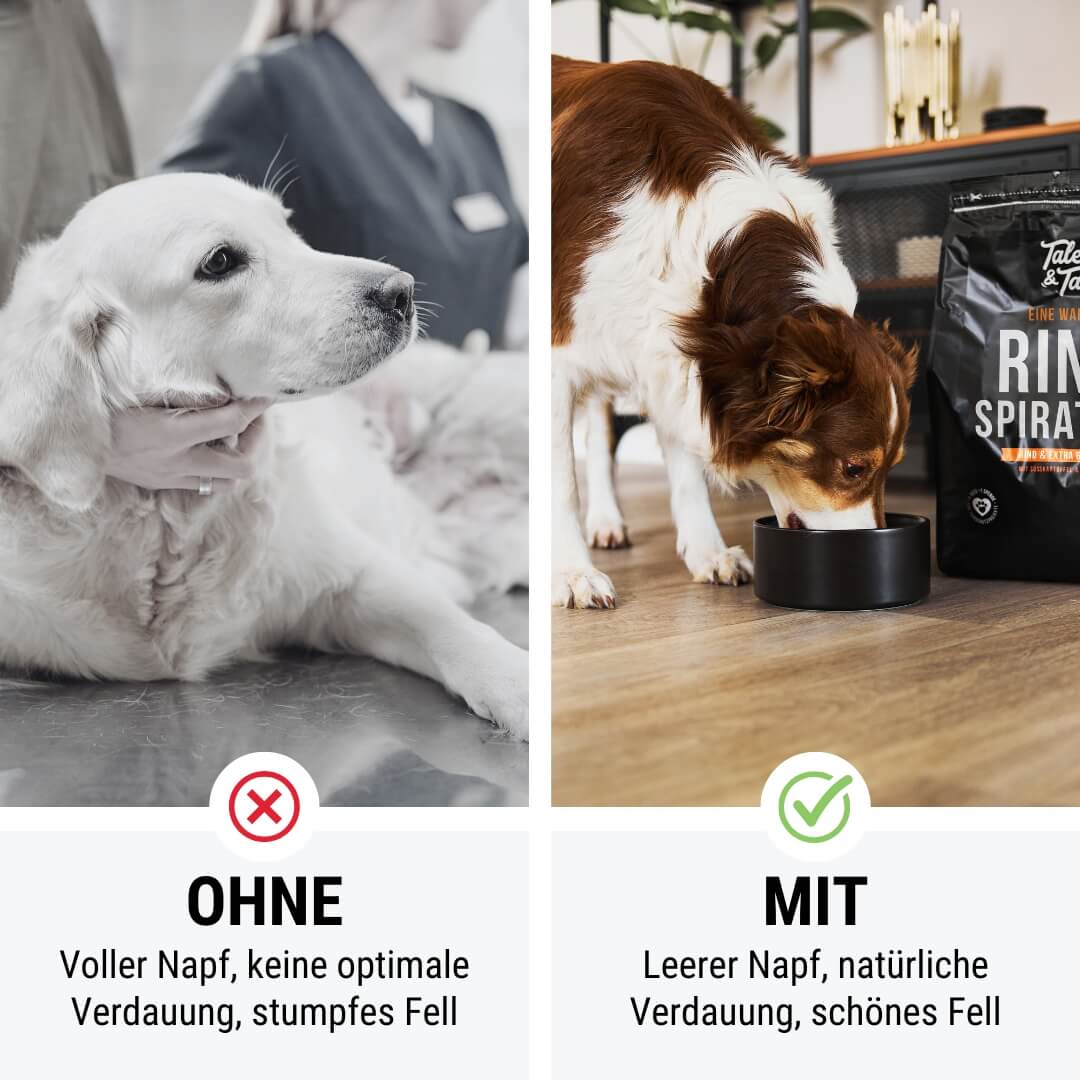 Eine wahre Rindspiration Softes Trockenfutter - Hundefutter mit Rind