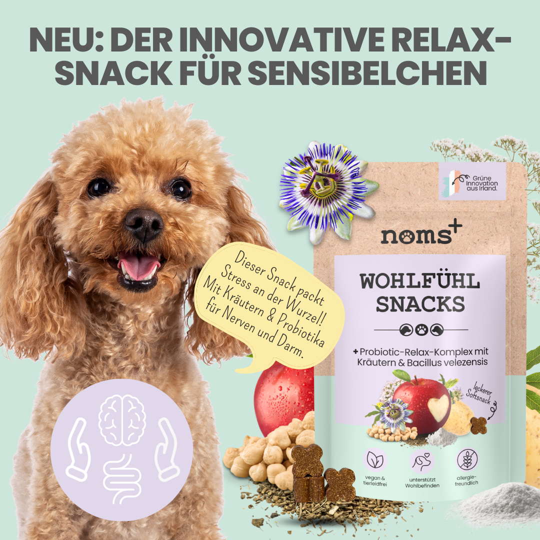 Wohlfühlsnacks für Hunde bei Stress, Angst, Unruhe & Hyperaktivität (200g)