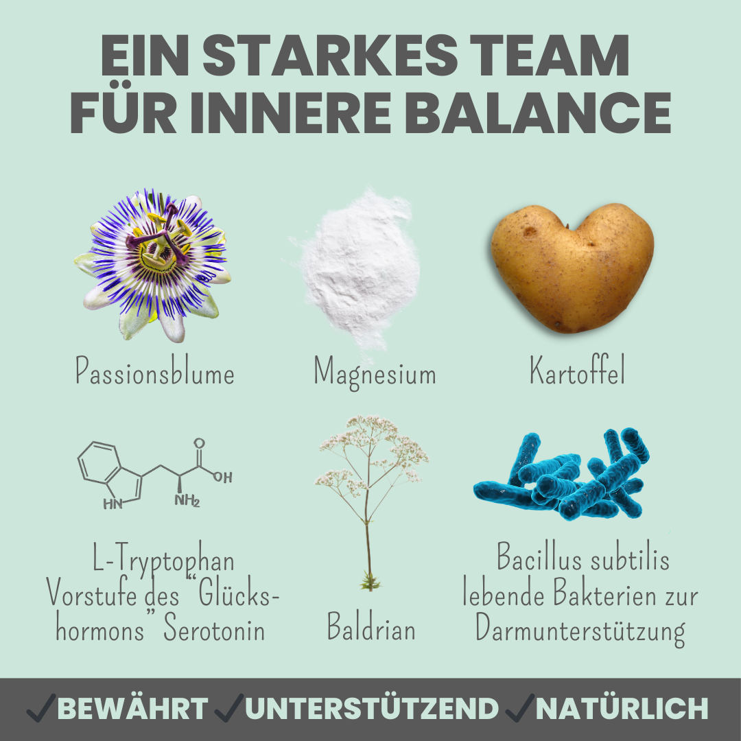 Wohlfühlsnacks für Hunde bei Stress, Angst, Unruhe & Hyperaktivität (200g)