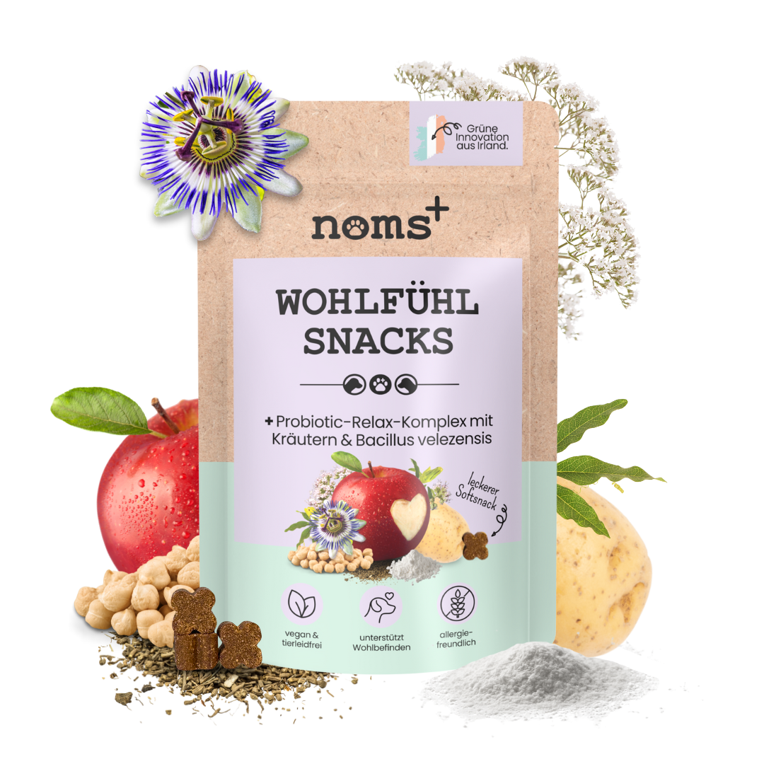 Wohlfühlsnacks für Hunde bei Stress, Angst, Unruhe & Hyperaktivität (200g)