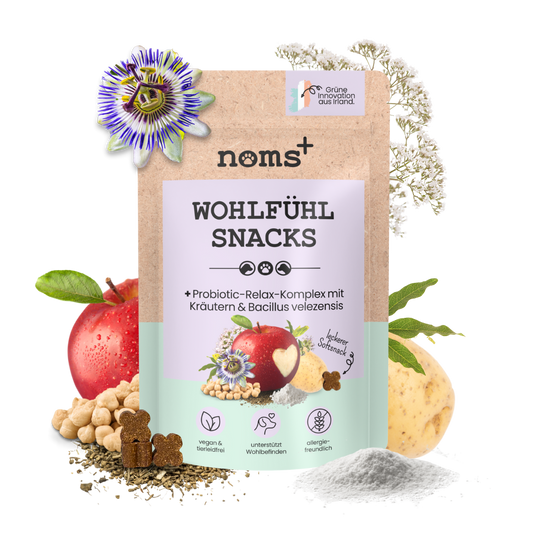 Wohlfühlsnacks für Hunde bei Stress, Angst, Unruhe & Hyperaktivität (200g)