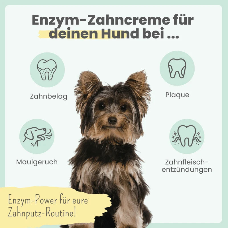 noms+ Zahnpflege-Duo