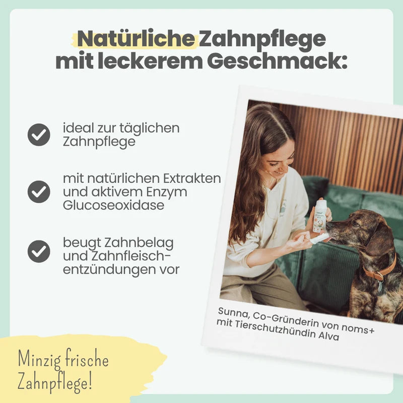 noms+ Zahnpflege-Duo
