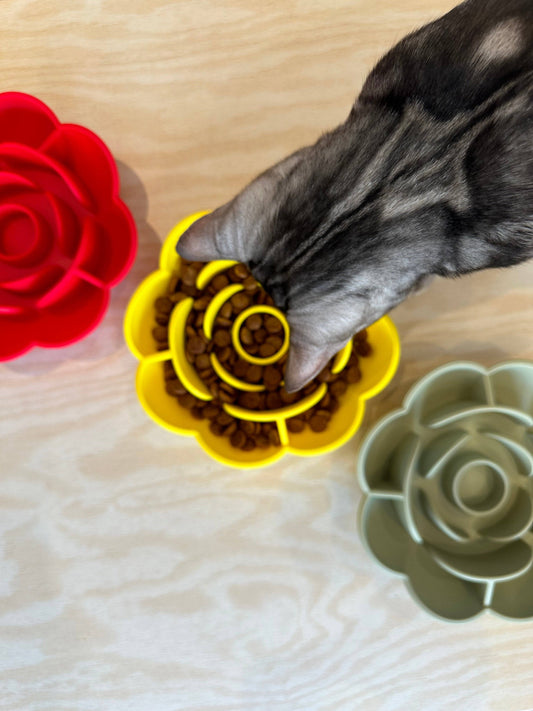 Antischling Bowl fuer Hunde und Katzen