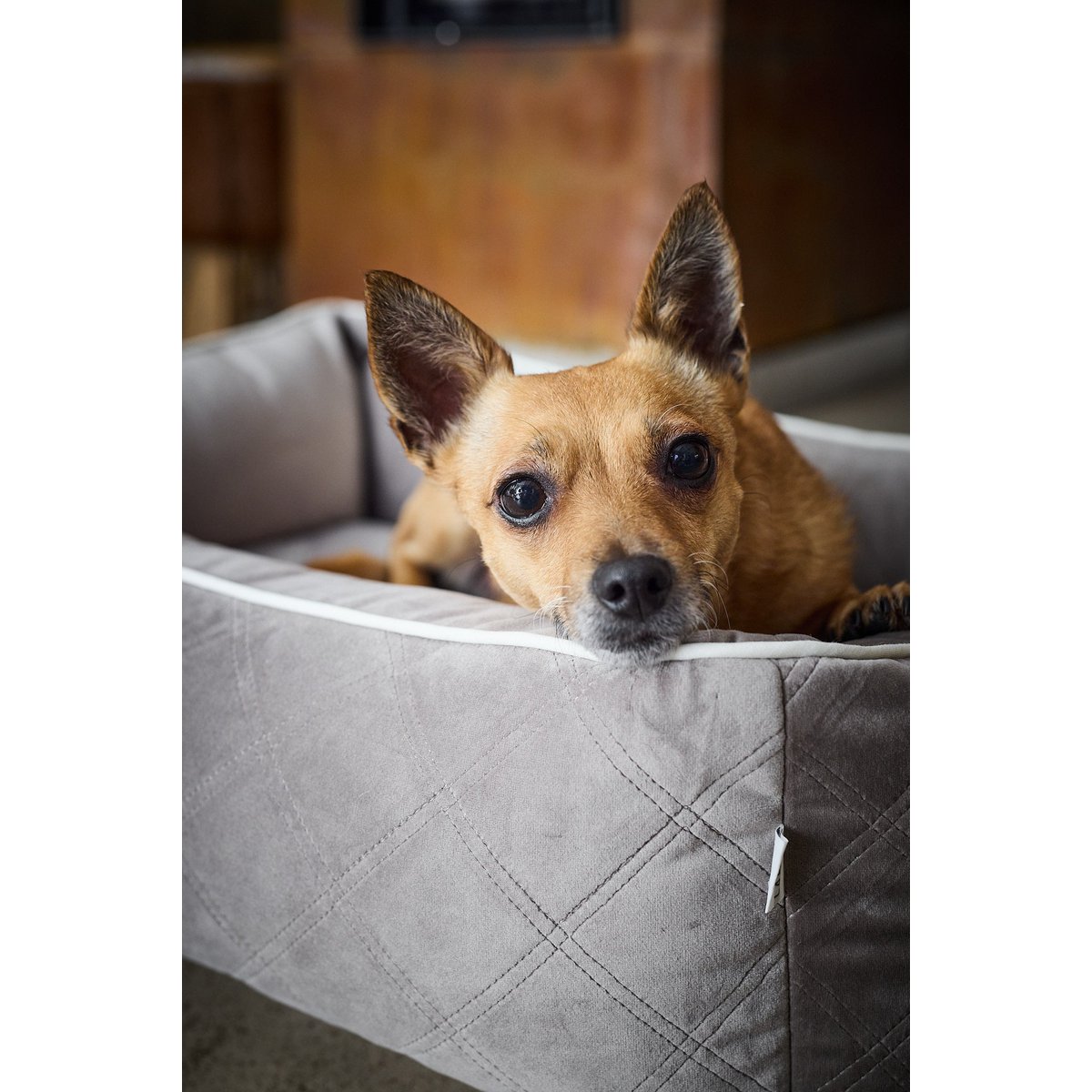 Laboni CLASSIC Hundebett - OXFORD TAUPE