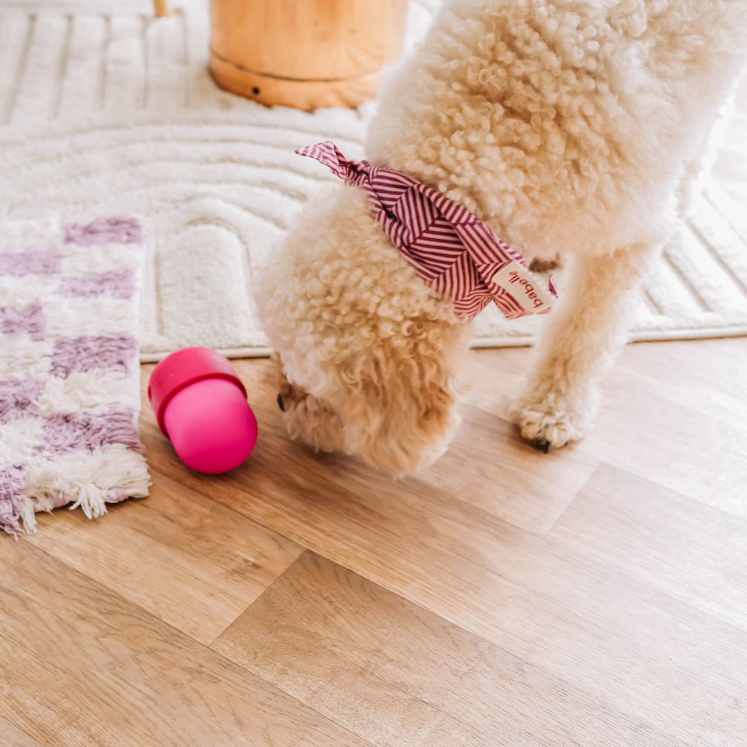 babelle_der Spaß-Futterautomat - Leckerli-Spender - Schleckspielzeug_in pink_ecopetique