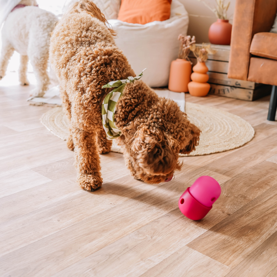 babelle_der Spaß-Futterautomat - Leckerli-Spender - Schleckspielzeug_ecopetique